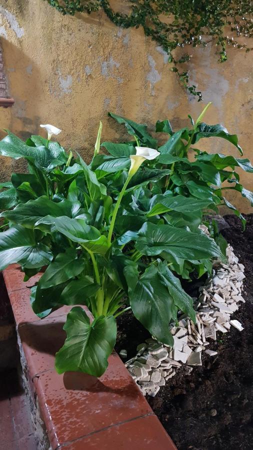 Il Giardino Sul Corso Apartman Scafati Kültér fotó