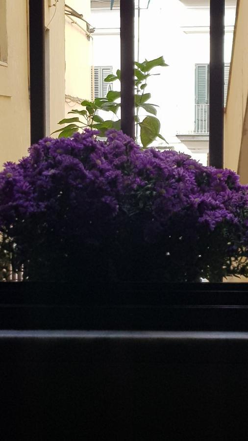 Il Giardino Sul Corso Apartman Scafati Kültér fotó