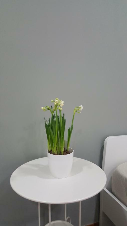 Il Giardino Sul Corso Apartman Scafati Kültér fotó